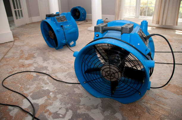 Sewage cleanup and water damage restoration in Deer Park, IL